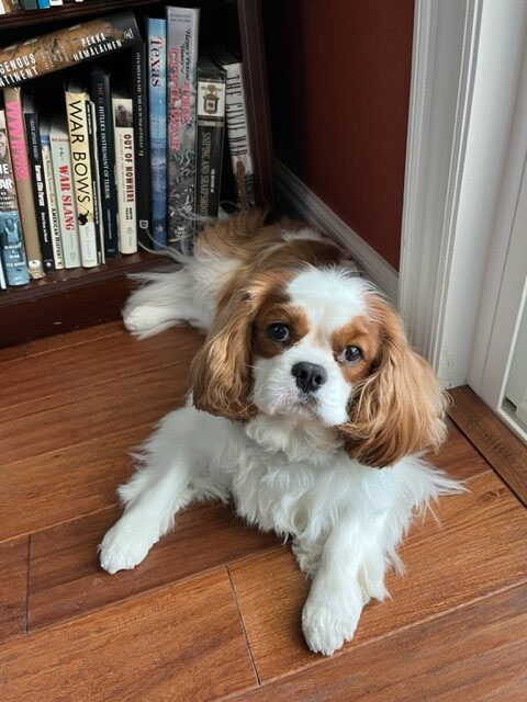 Nutra Complete Reviews - Is It a Legitimate Product? (6)