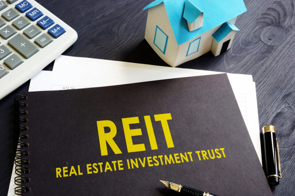 Real Estate Investment Trust (REIT) (1)